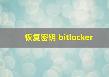 恢复密钥 bitlocker